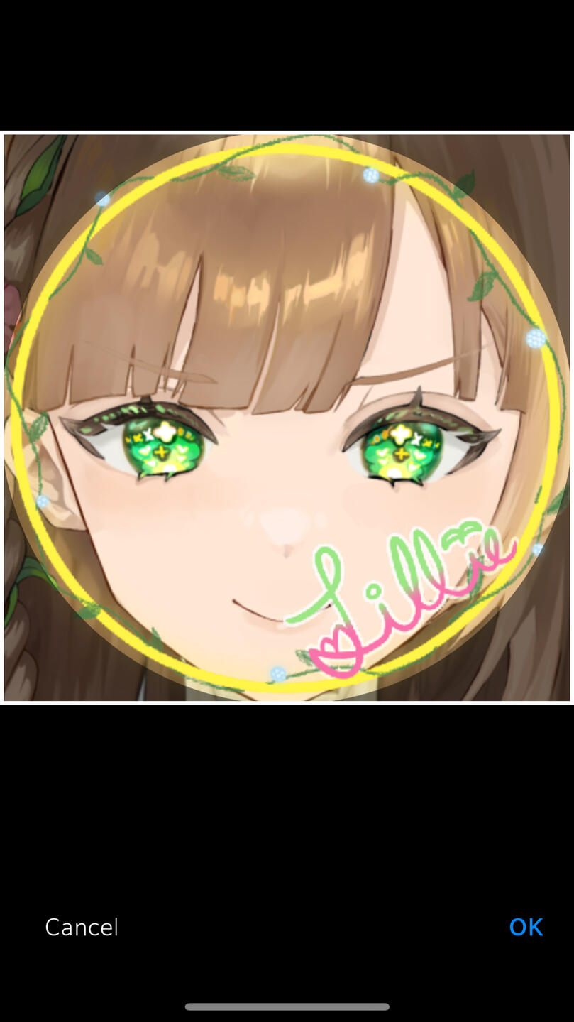 screenshot of IRIAM cropping the Profile Picture